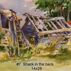 Shack in the back | Price: $400 | 28x14